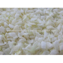 Exporter of Freeze Dried Onion